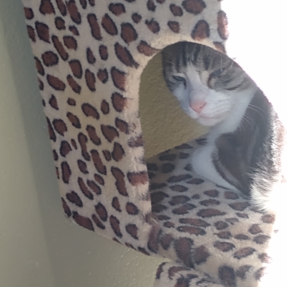 Meet your Posher, Darlene - Picture 10 of 16